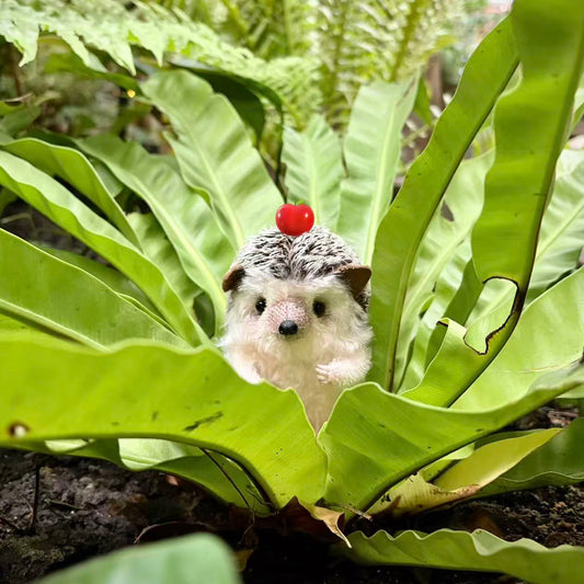 Snowball | Hedgehog Plush Toy