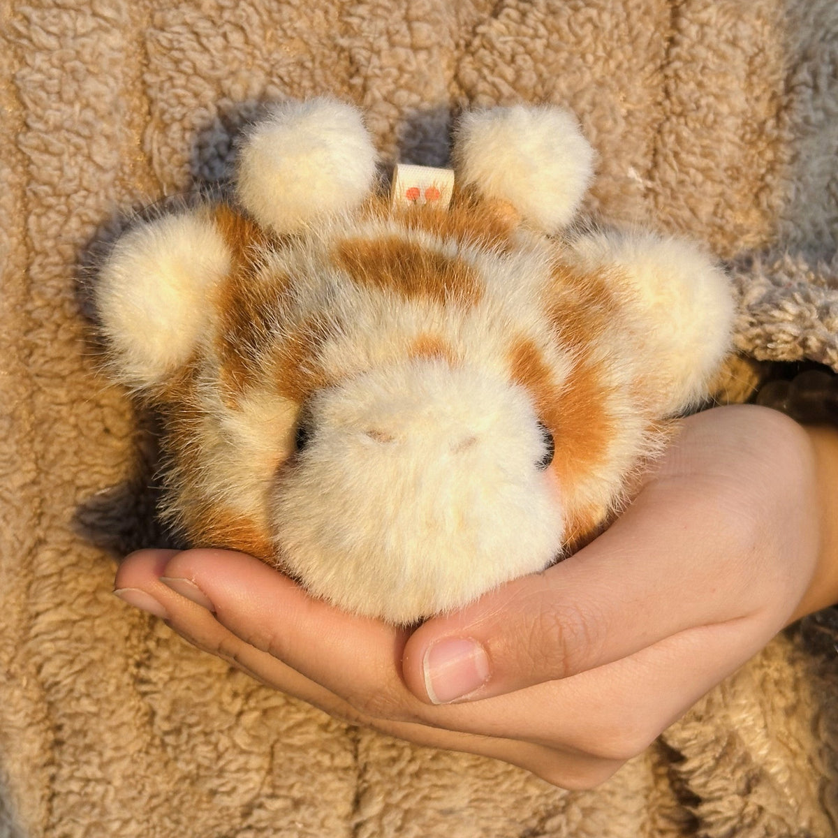 Small plush tiger toy held in a hand against a textured brown background