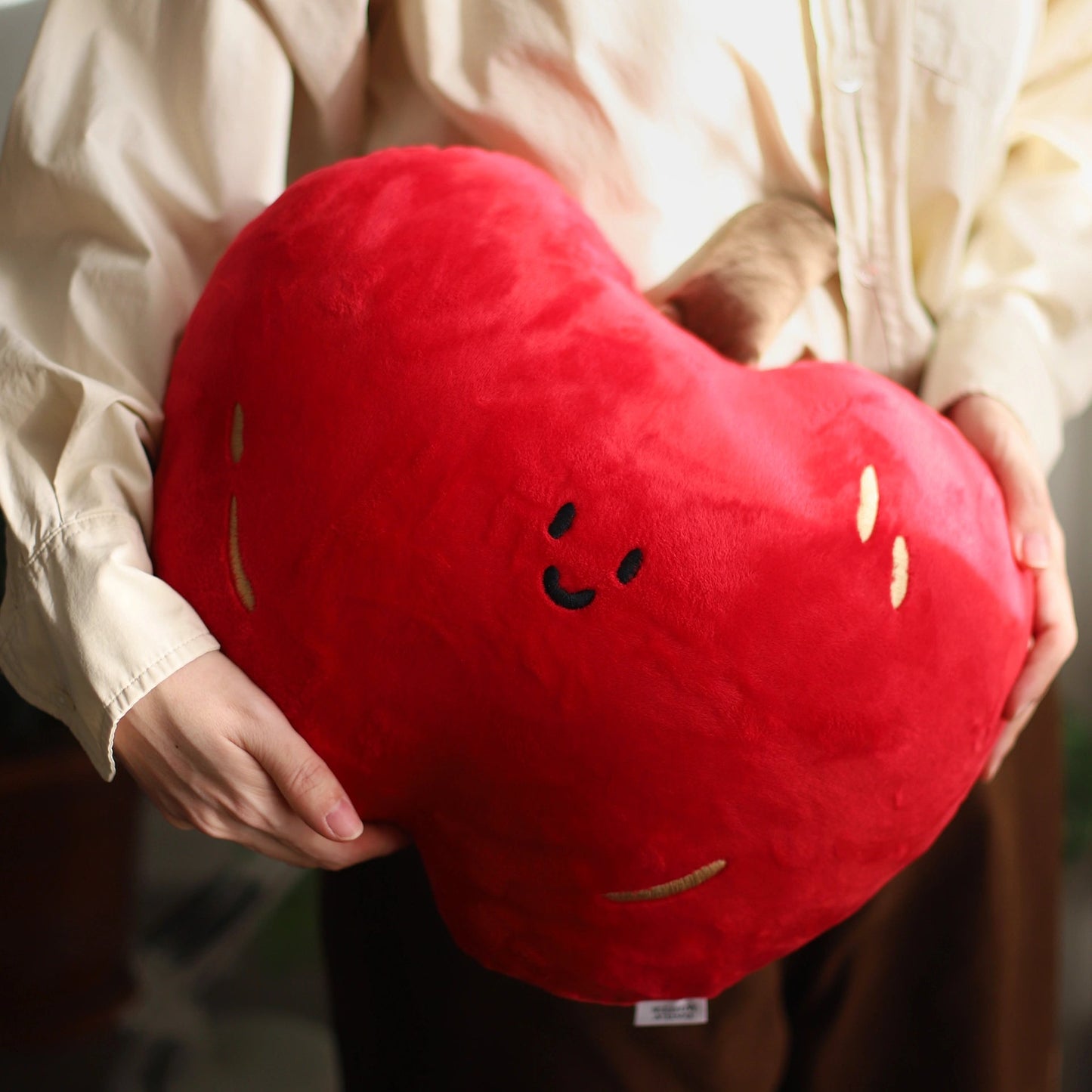 Person holding a red heart-shaped plush toy with a neutral background