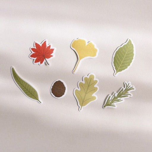Suatelier | Leaves