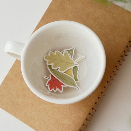 Suatelier | Leaves