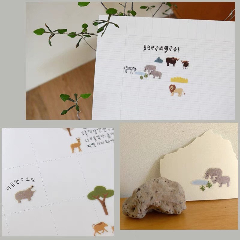 Suatelier |Serengeti