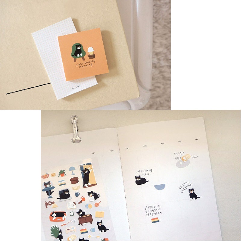 Suatelier | Cat's catch