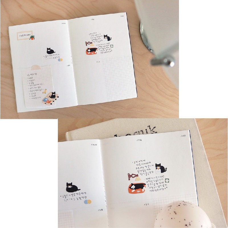 Suatelier | Cat's catch