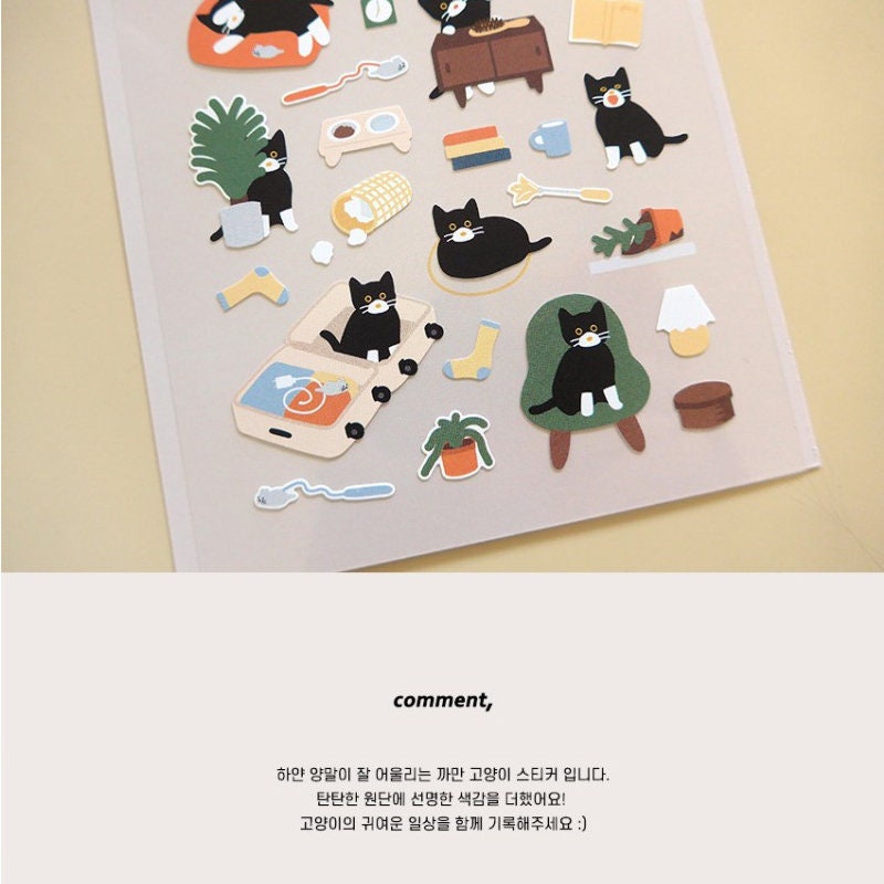 Suatelier | Cat's catch