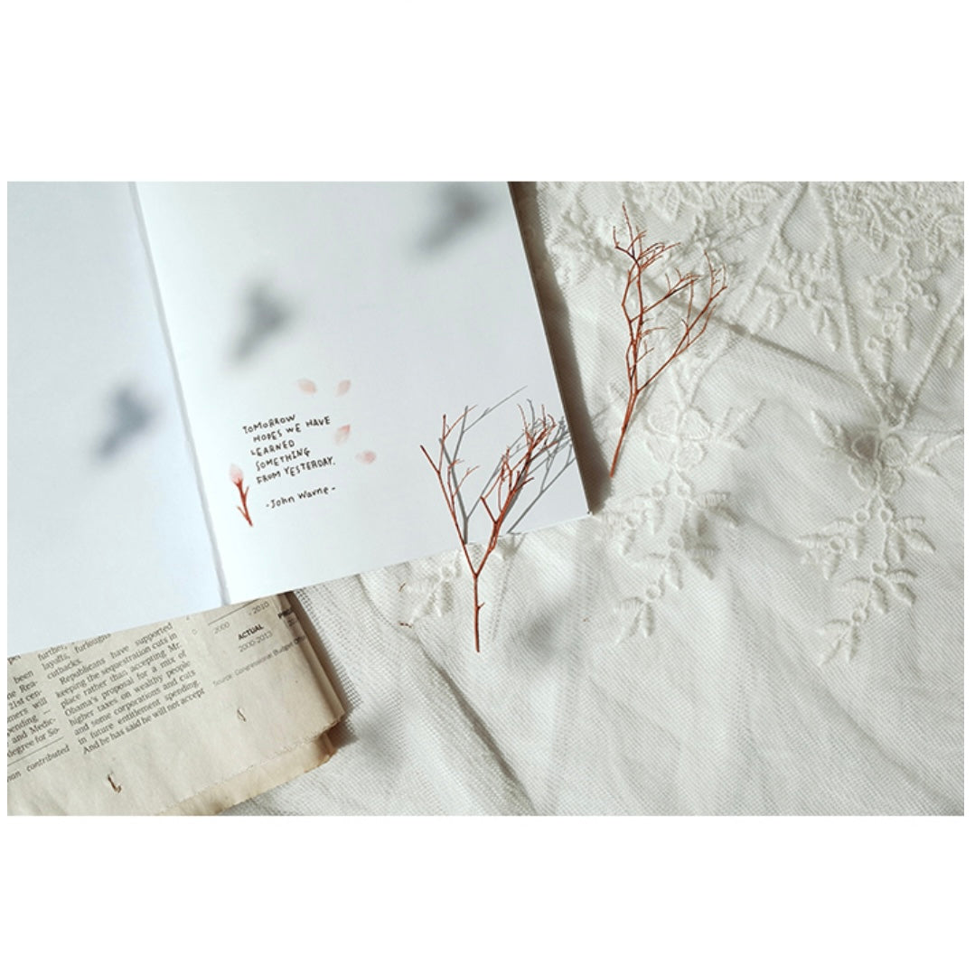 Suatelier | Water Blossom