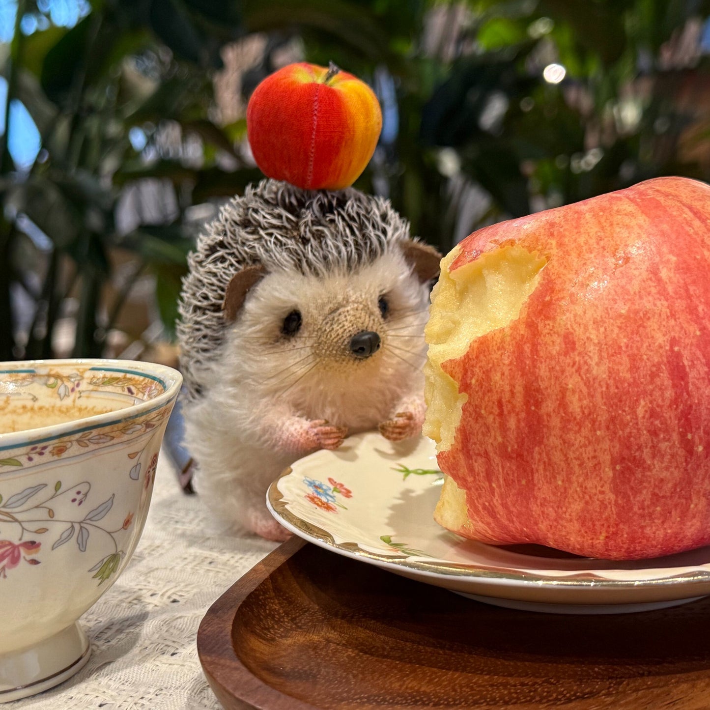Snowball | Hedgehog Plush Toy