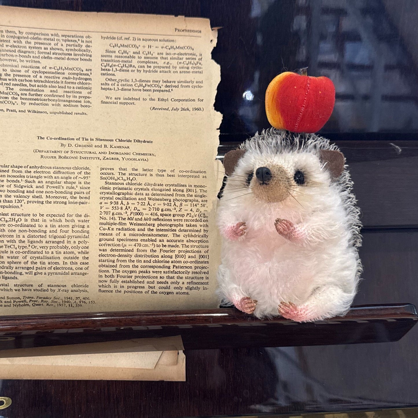 Snowball | Hedgehog Plush Toy