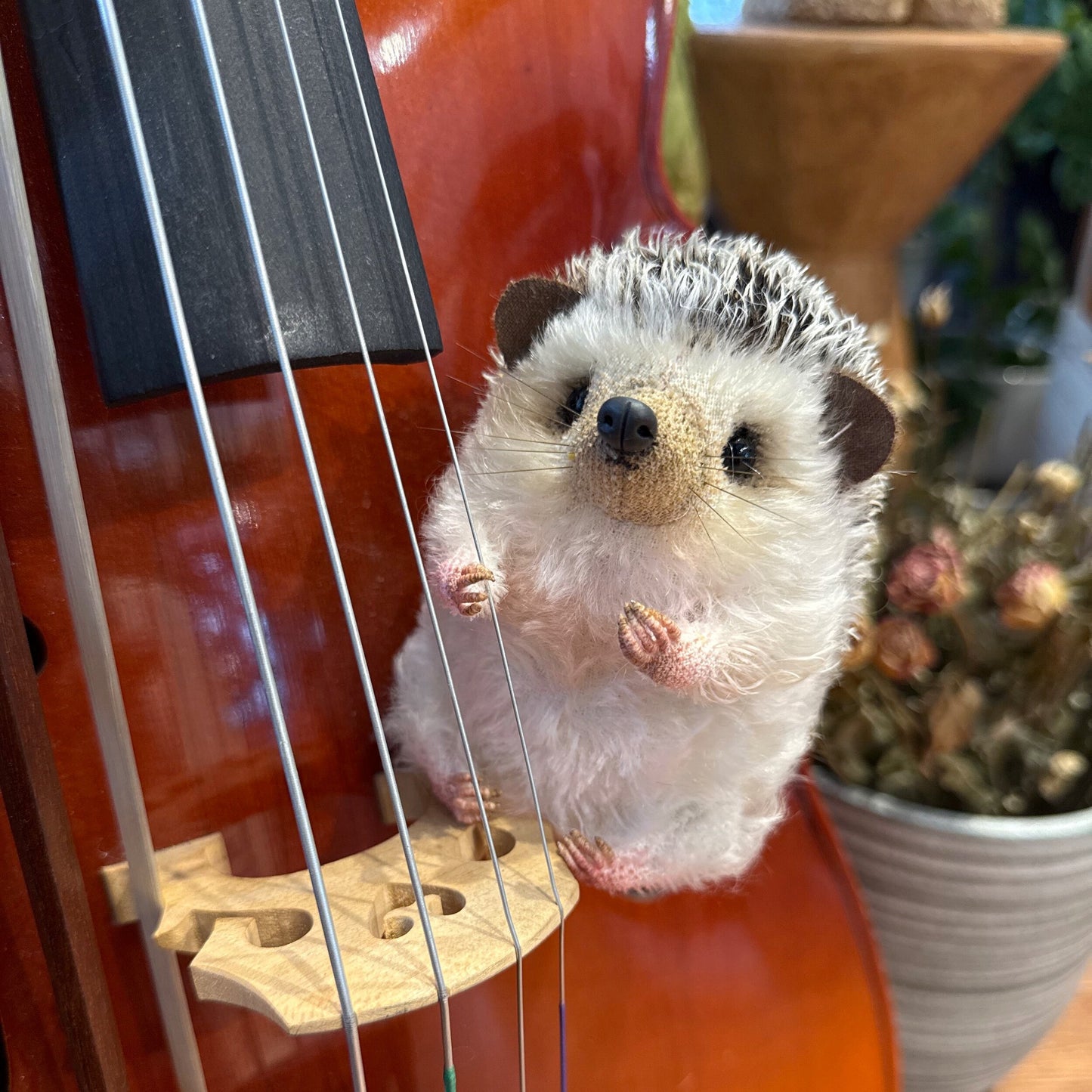 Snowball | Hedgehog Plush Toy