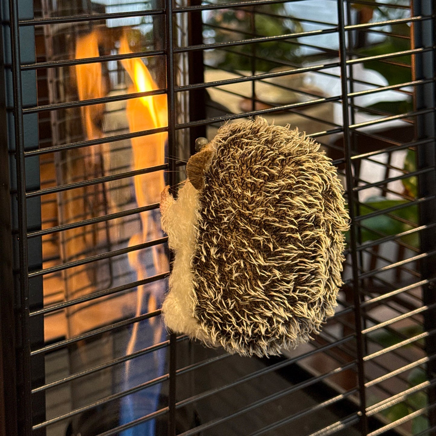 Snowball | Hedgehog Plush Toy