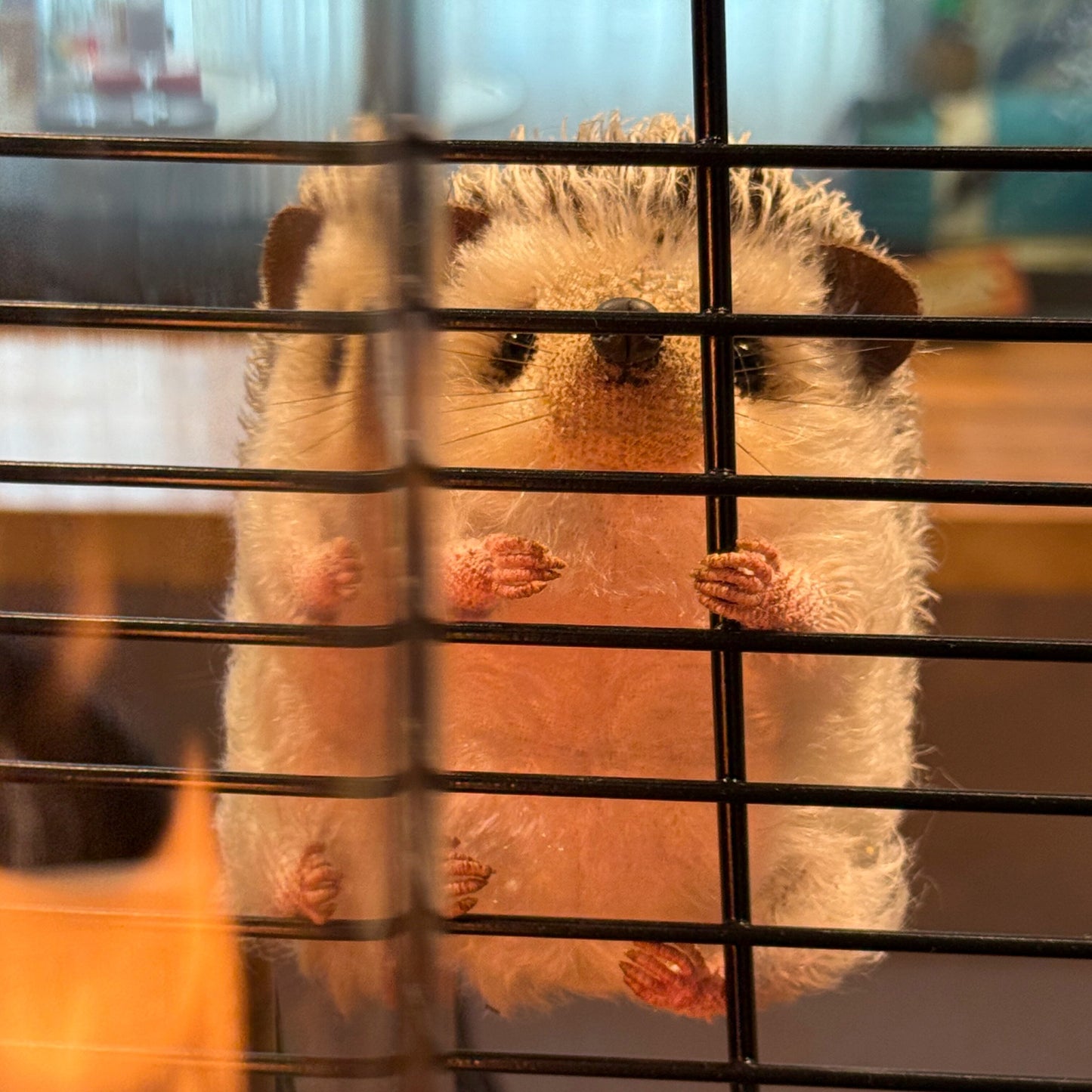 Snowball | Hedgehog Plush Toy