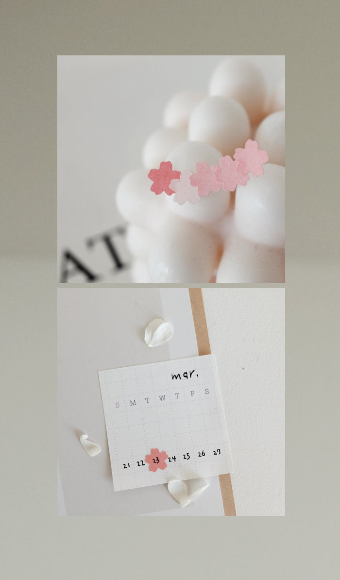 Suatelier |Plain 62