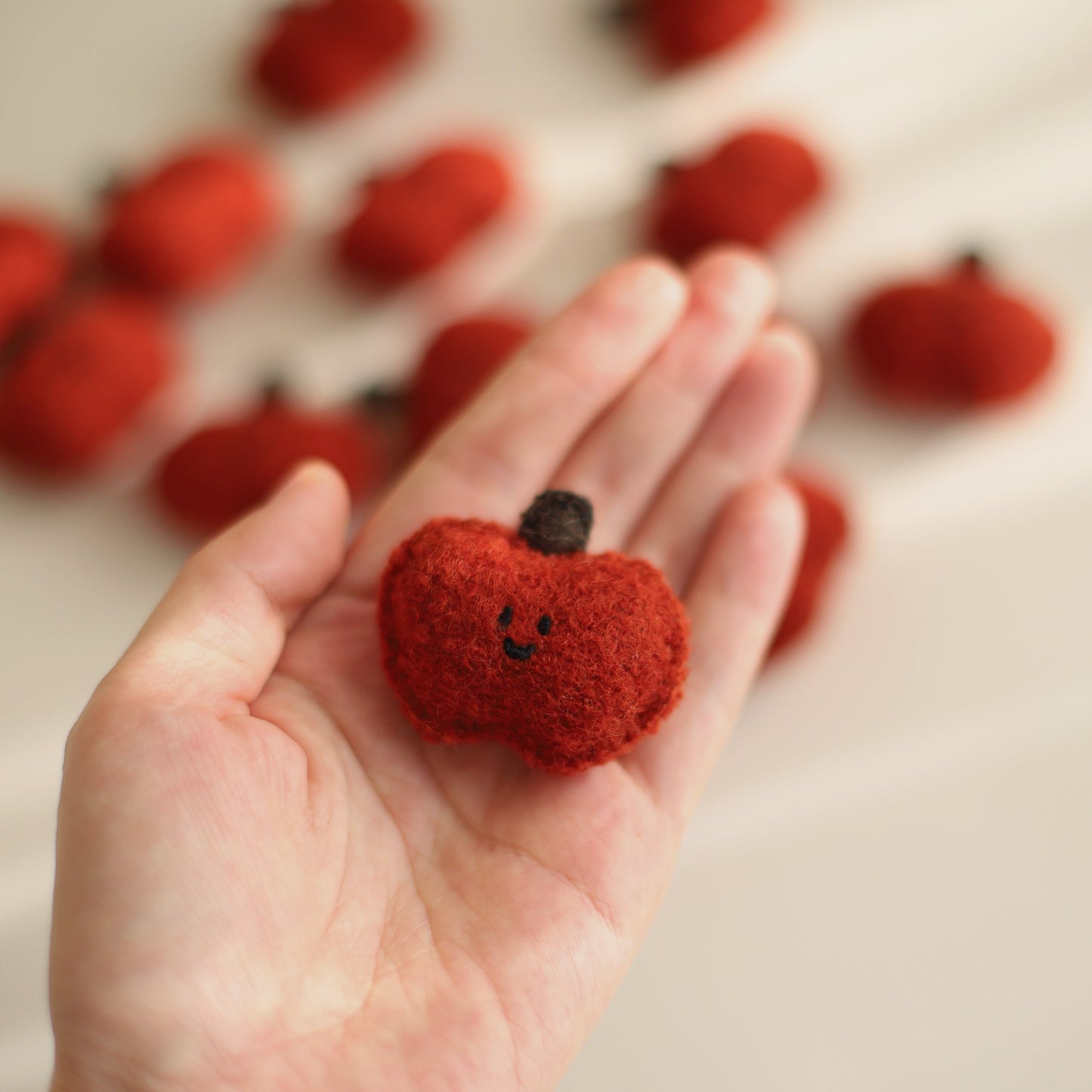 Daily White | Apple Woollen Brooch