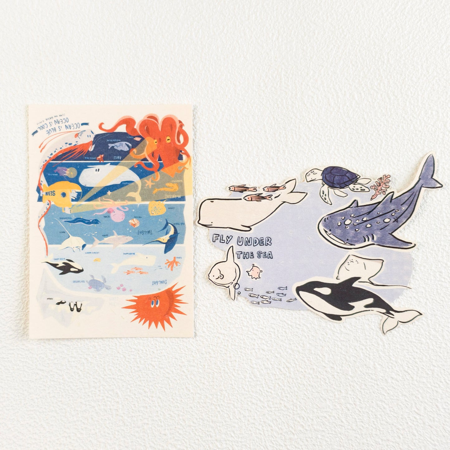 Ein Leben als Alligator | Materialpaket für das Tagebuch „Fliege unter dem Meer“