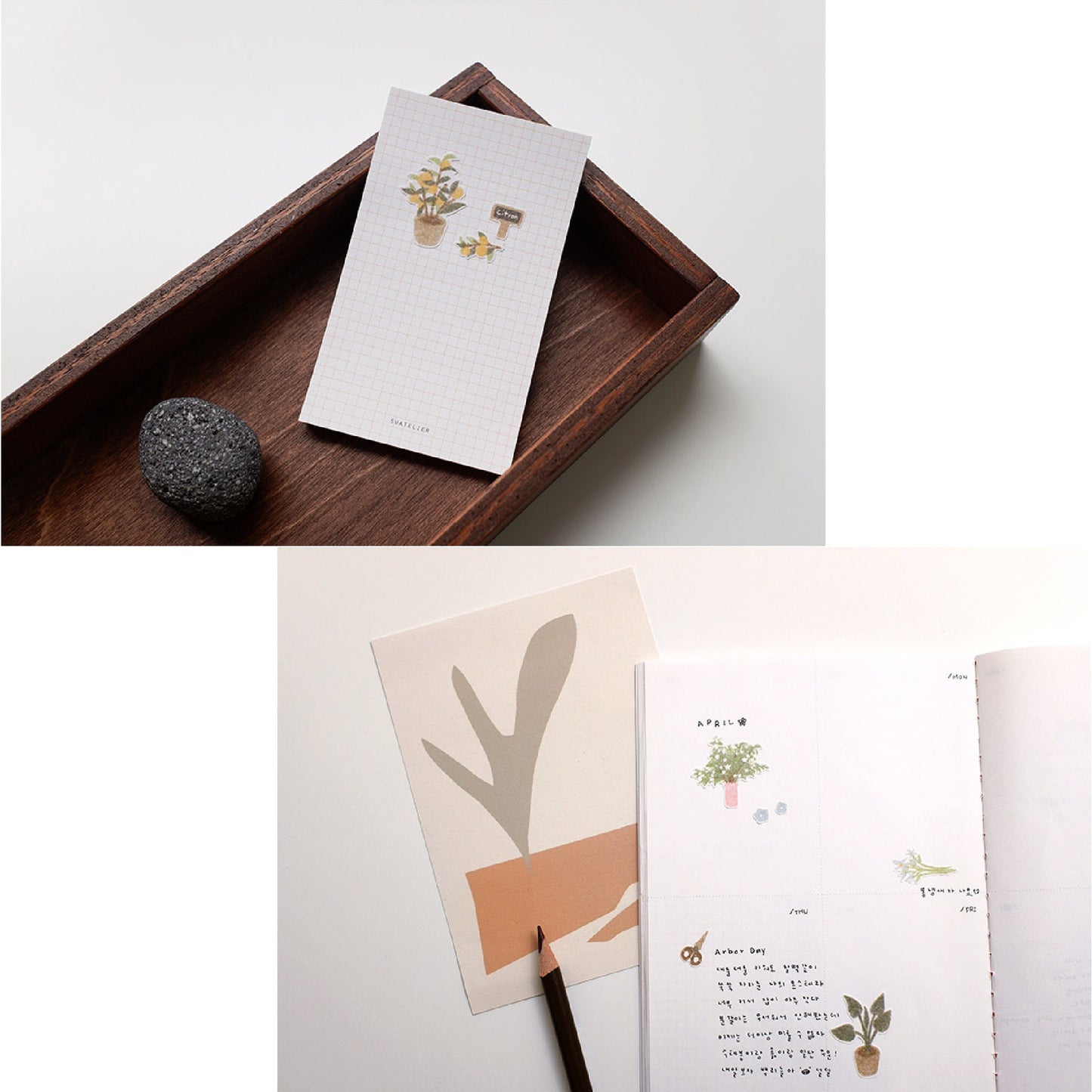 Suatelier | Flower Cafe
